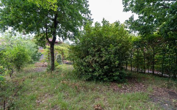 Maison à vendre    1 pièce •  Biscarrosse