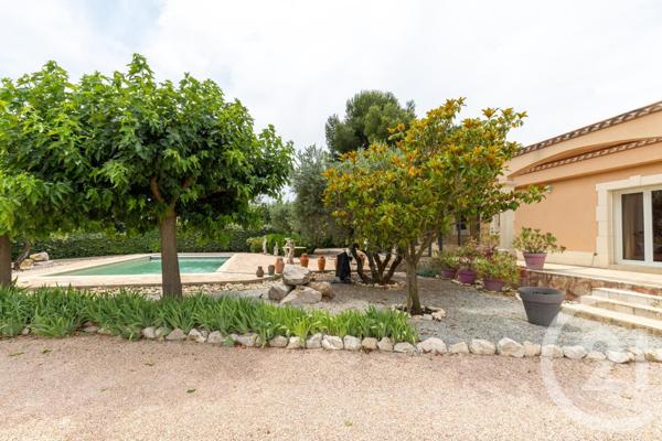 Maison à vendre  5 pièces - 136 m2 PAULHAN - 34