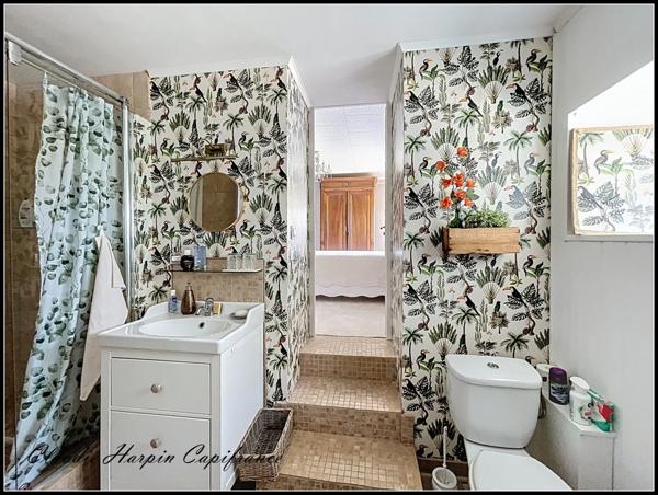 Maison à vendre 8 pièces AIRVAULT (79) - terrain 2769 m² - 5 ch - mare -288 m² habitable