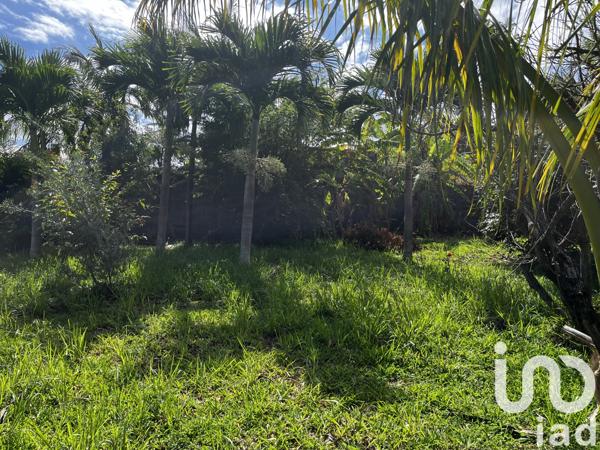 Terrain à vendre 923 m² Petite-Île