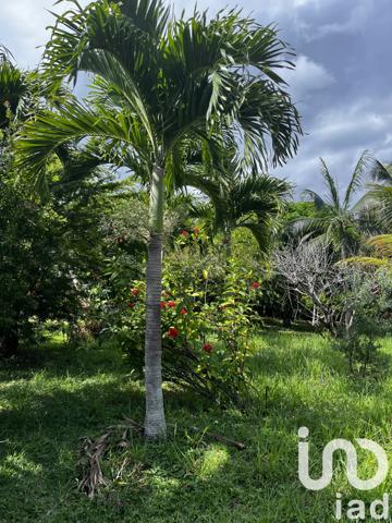 Terrain à vendre 923 m² Petite-Île