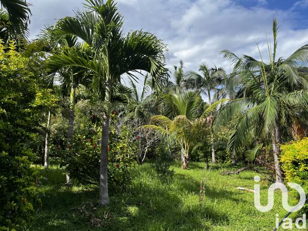 Terrain à vendre 923 m² Petite-Île