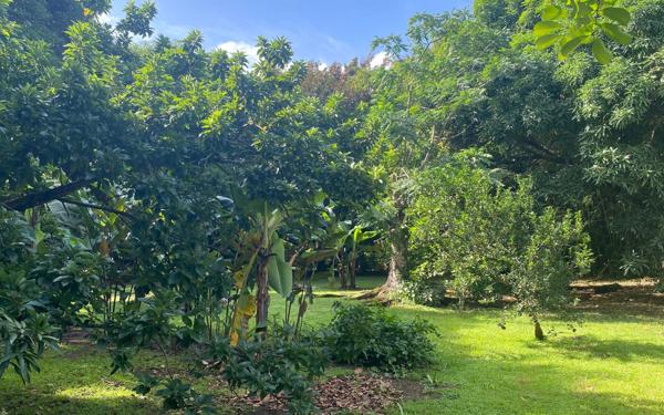 Maison à vendre    2 pièces •  Rivière-Pilote