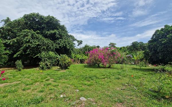 Maison à vendre    3 pièces •  Macouria