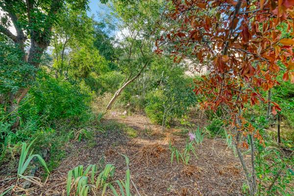 Ensemble de deux maisons individuelles T2 Bis - T3 Bis Terrain 810m² Secteur Macchione Bastia