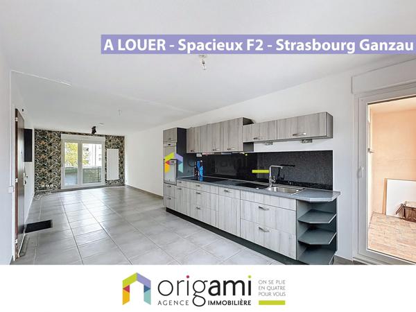 STRASBOURG Ganzau - Spacieux F2