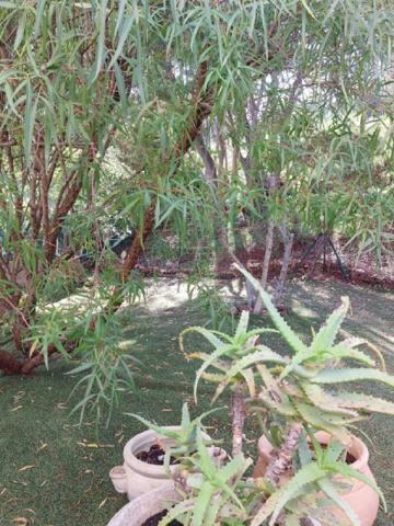 Le Luc en Provence Villa d'architecte 218 m2