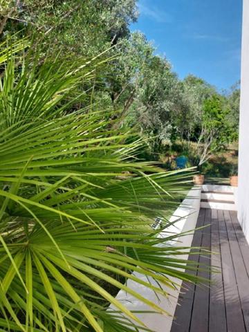 Le Luc en Provence Villa d'architecte 218 m2