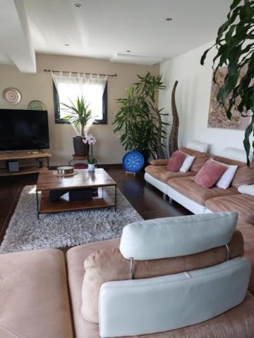 Le Luc en Provence Villa d'architecte 218 m2