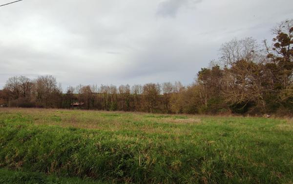 Terrain constructible à Ecueillé