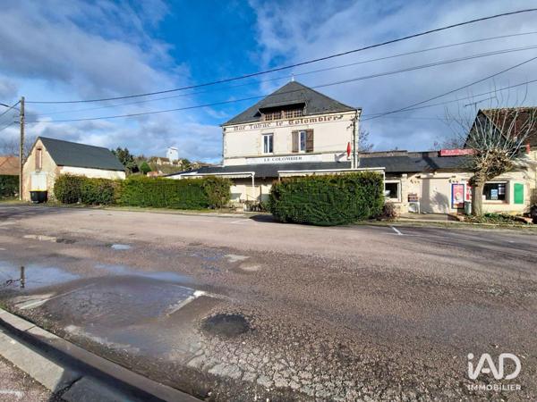 Bar-tabac à vendre 390 m² Rogny-les-Sept-Écluses