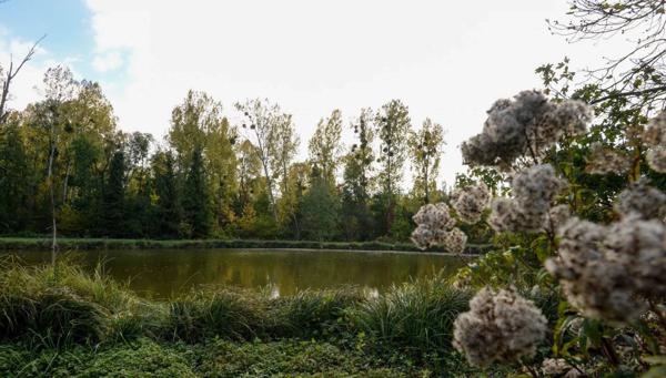 Ancien moulin à farine du XVII siècle classé patrimoine remarquable