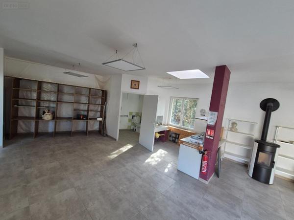 Local mixte (Professionnel/Habitation) à vendre à Onet-le-Château dans l'Aveyron (12850), ref : 1191