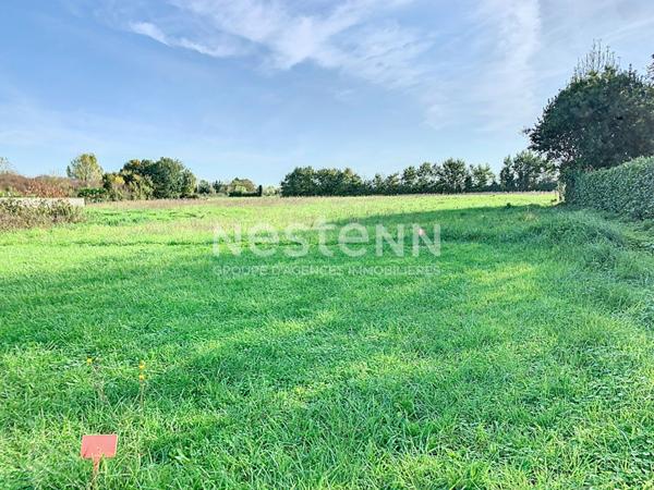À VENDRE Terrain constructible de 1 342 m² à Saint-Étienne-de-Brillouet entre Sainte-Hermine et Fontenay-le-Comte.
