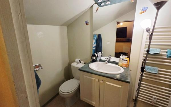 Immeuble à vendre    12 pièces • 220,39 m2 Mende