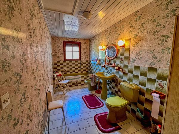 Maison Balanzac 7 pièce(s) 201 m2 Balanzac