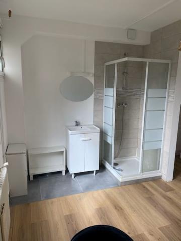 Chambre meublée  avec douche privative dans une maison en colocation -Talence