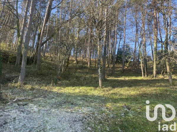 Terrain à vendre 3 764 m² Brive-la-Gaillarde