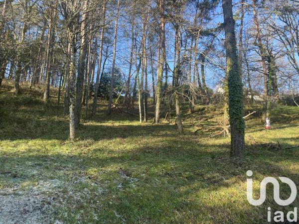 Terrain à vendre 3 764 m² Brive-la-Gaillarde