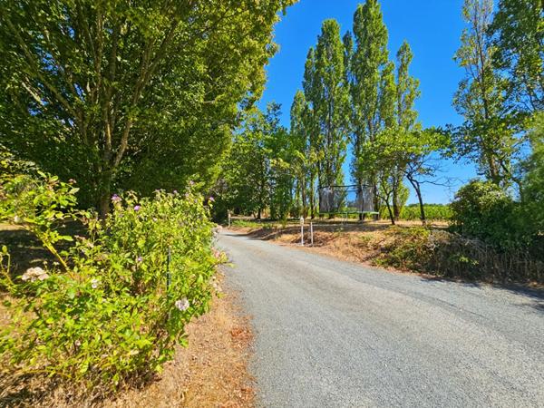 Bellevigne-en-Layon - Propriété de 250 m²  - 2 habitations - Piscine chauffée - Plus d'1 hectare de terrain