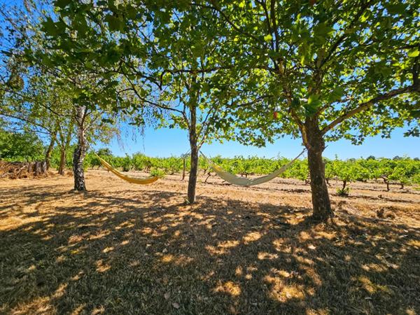 Bellevigne-en-Layon - Propriété de 250 m²  - 2 habitations - Piscine chauffée - Plus d'1 hectare de terrain