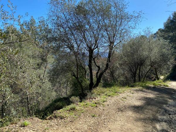 Terrain à vendre    Contes