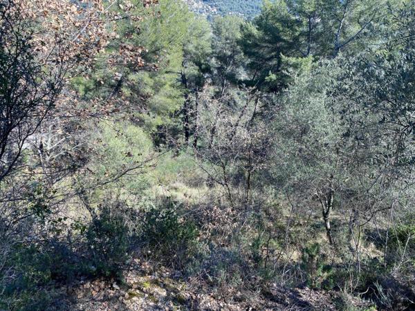 Terrain à vendre    Contes