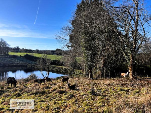 EXCLUSIVITÉ ! Domaine avec propriété en pierres et étang / point d'eau | Proche Quimper