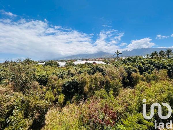 Appartement à vendre 3 pièces 73 m² Saint-Pierre