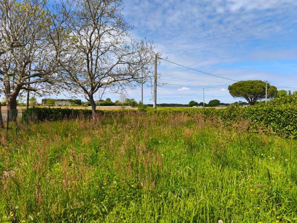 ENSEMBLE IMMOBILIER - FORTE RENTABILITÉ + POTENTIEL AIRE SUR L'ADOUR (40)