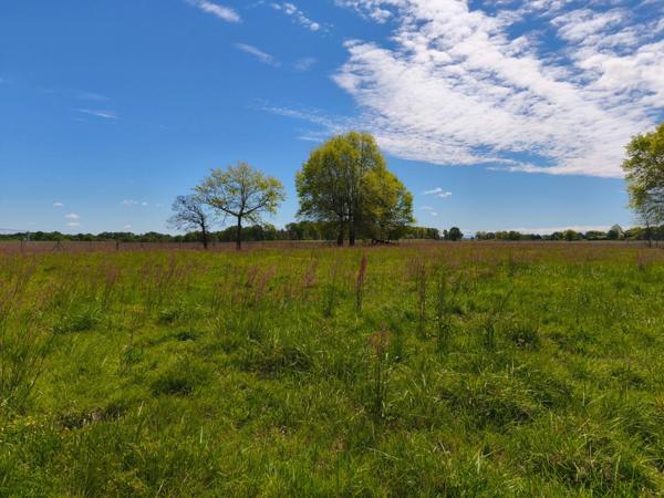 ENSEMBLE IMMOBILIER - FORTE RENTABILITÉ + POTENTIEL AIRE SUR L'ADOUR (40)
