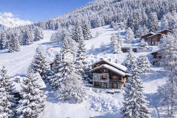 Propriété alpine d'exeption ski aux pieds avec Vue Mont Blanc