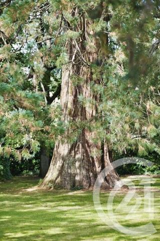 Maison à vendre  12 pièces - 374,51 m2 VITRE - 35