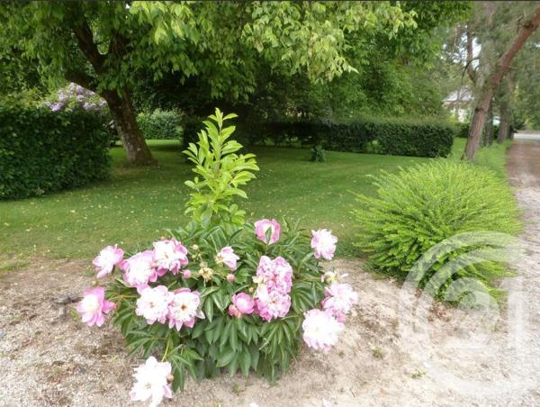 Maison à vendre  12 pièces - 374,51 m2 VITRE - 35