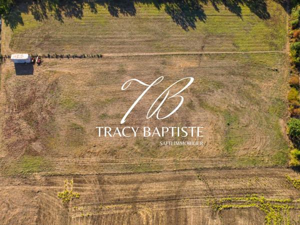 Terrain plat – 1 277 m² constructibles – Plus de 6 200 m² au total – Absence d'emprise au sol – Vue vallée et coteaux – Environnement calme et verdoyant