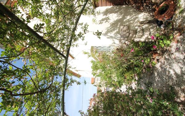 Maison à vendre    5 pièces •  Argelès-sur-Mer