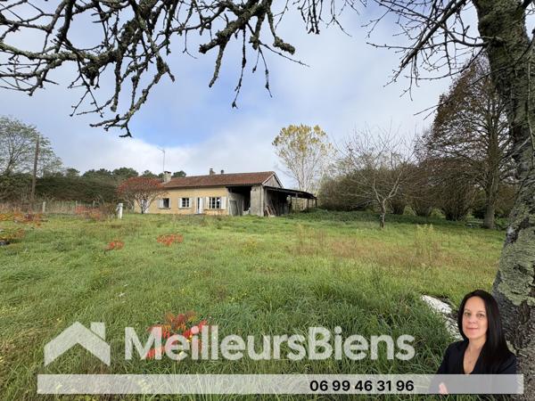 Maison a rénover sur 3,4 hectares de terrain