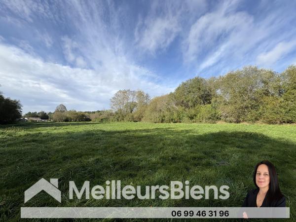 Maison a rénover sur 3,4 hectares de terrain