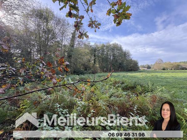 Maison a rénover sur 3,4 hectares de terrain
