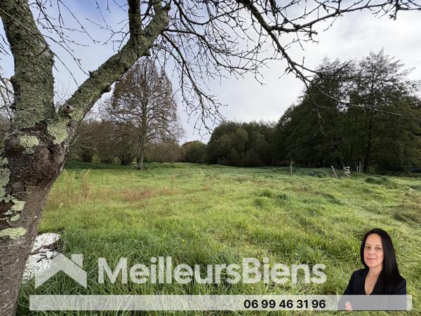 Maison a rénover sur 3,4 hectares de terrain