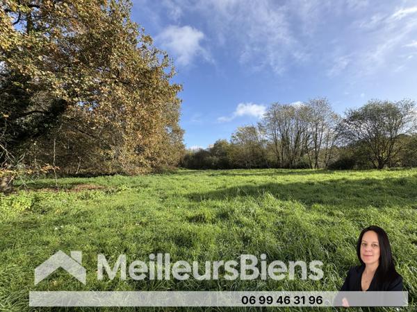 Maison a rénover sur 3,4 hectares de terrain