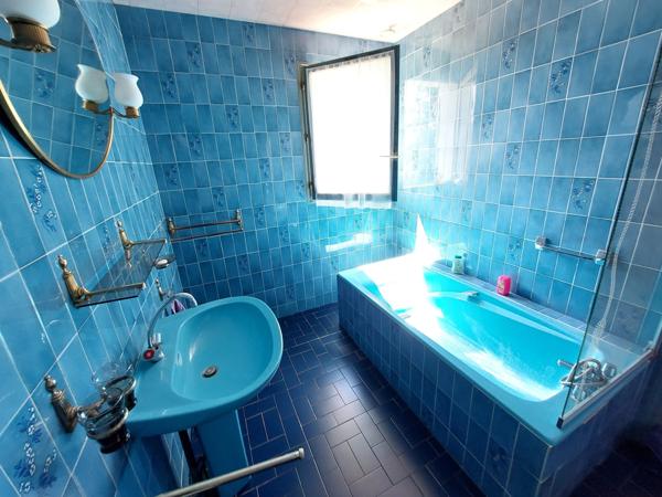 Bray sur Seine, maison 3 chambres avec sous-sol total et Piscine