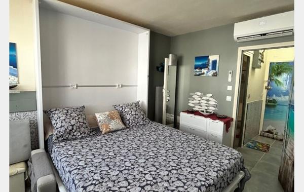 Vente Studio Rénové rénové(e) La grande-motte