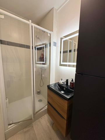 Appartement T1 bis  - bourg de Seiches Sur Le Loir