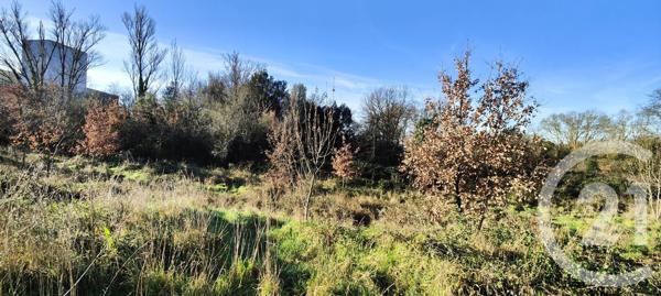 Terrain à vendre  5681 m2 TOULOUSE - 31