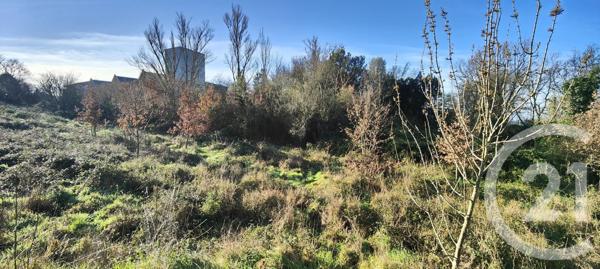 Terrain à vendre  5681 m2 TOULOUSE - 31