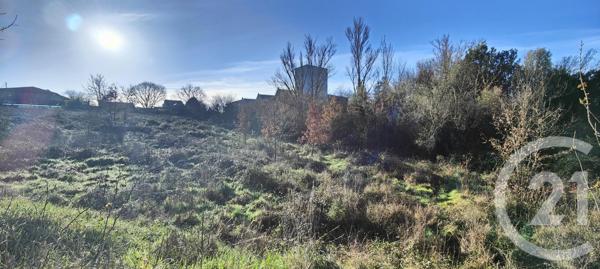 Terrain à vendre  5681 m2 TOULOUSE - 31