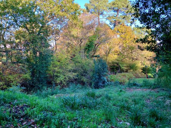 Terrain constructible Anglet Cantau - Un écrin de nature pour bâtir votre projet de vie