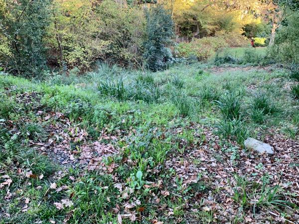 Terrain constructible Anglet Cantau - Un écrin de nature pour bâtir votre projet de vie