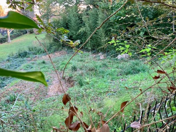 Terrain constructible Anglet Cantau - Un écrin de nature pour bâtir votre projet de vie